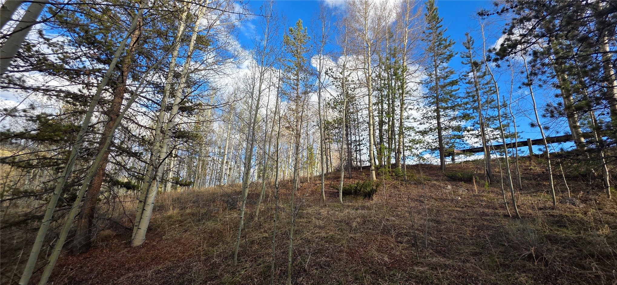 2180 Currant Way Property Photo 25