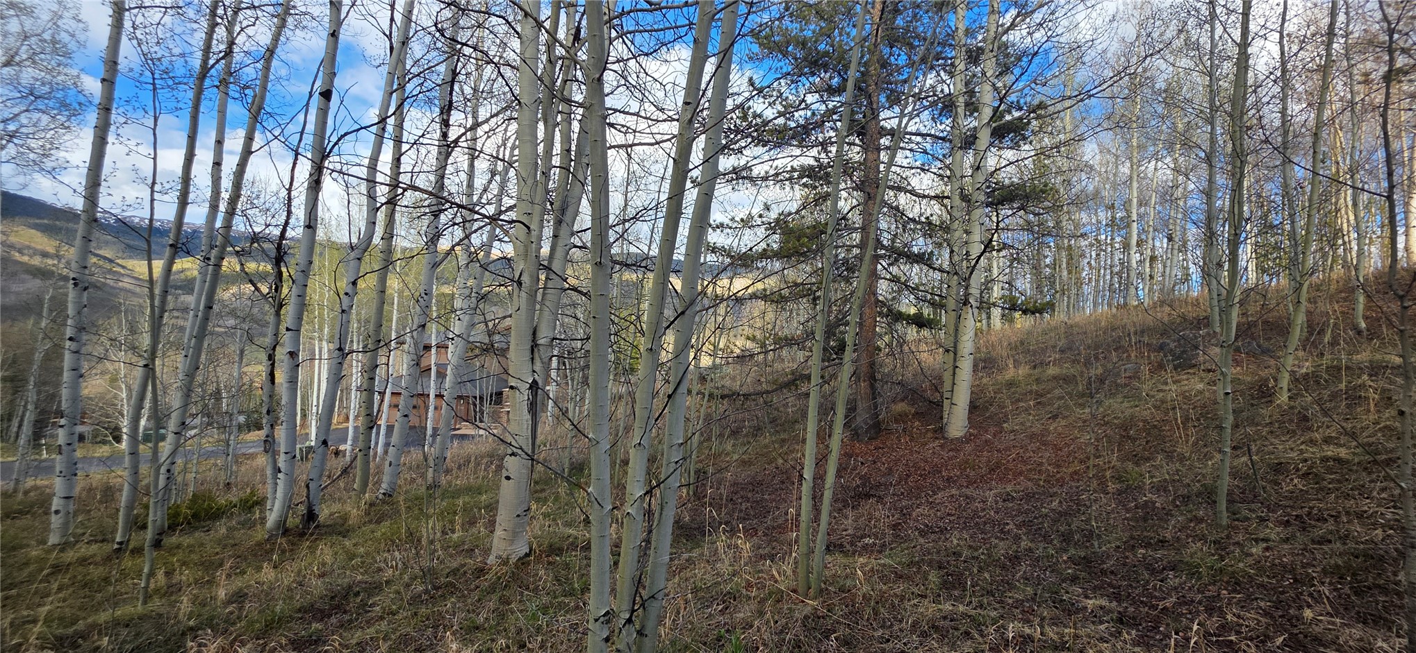 2180 Currant Way Property Photo 26