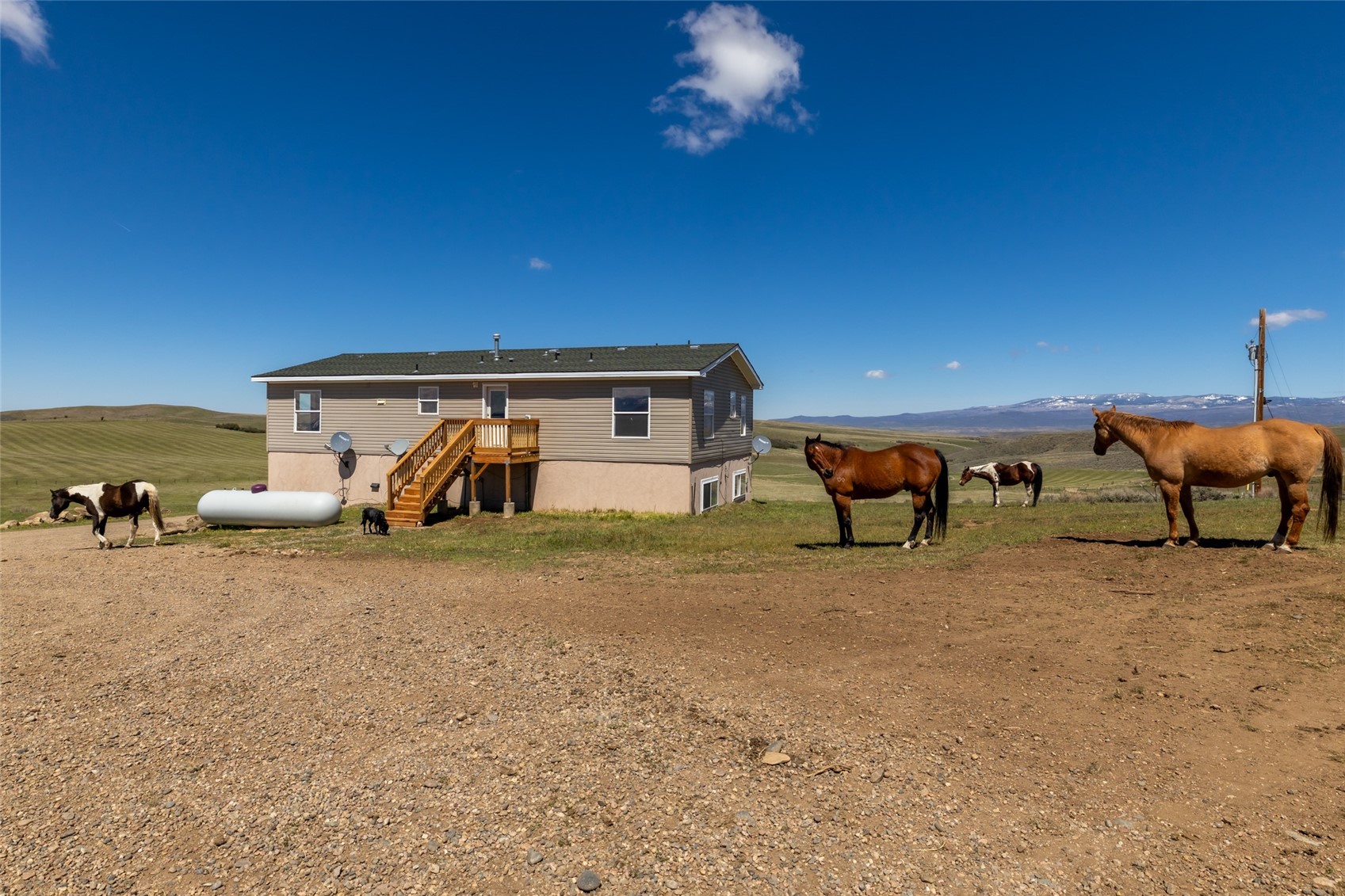6055 Homesteader Lane Property Photo 3