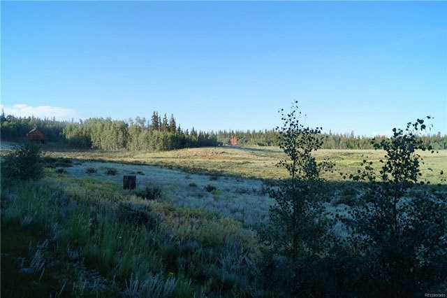 133 Puma Court Property Photo 8