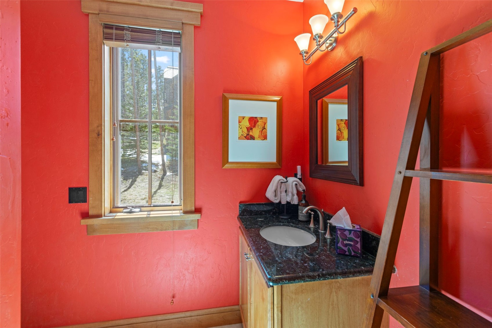 317 Timber Trail Road Property Photo 41