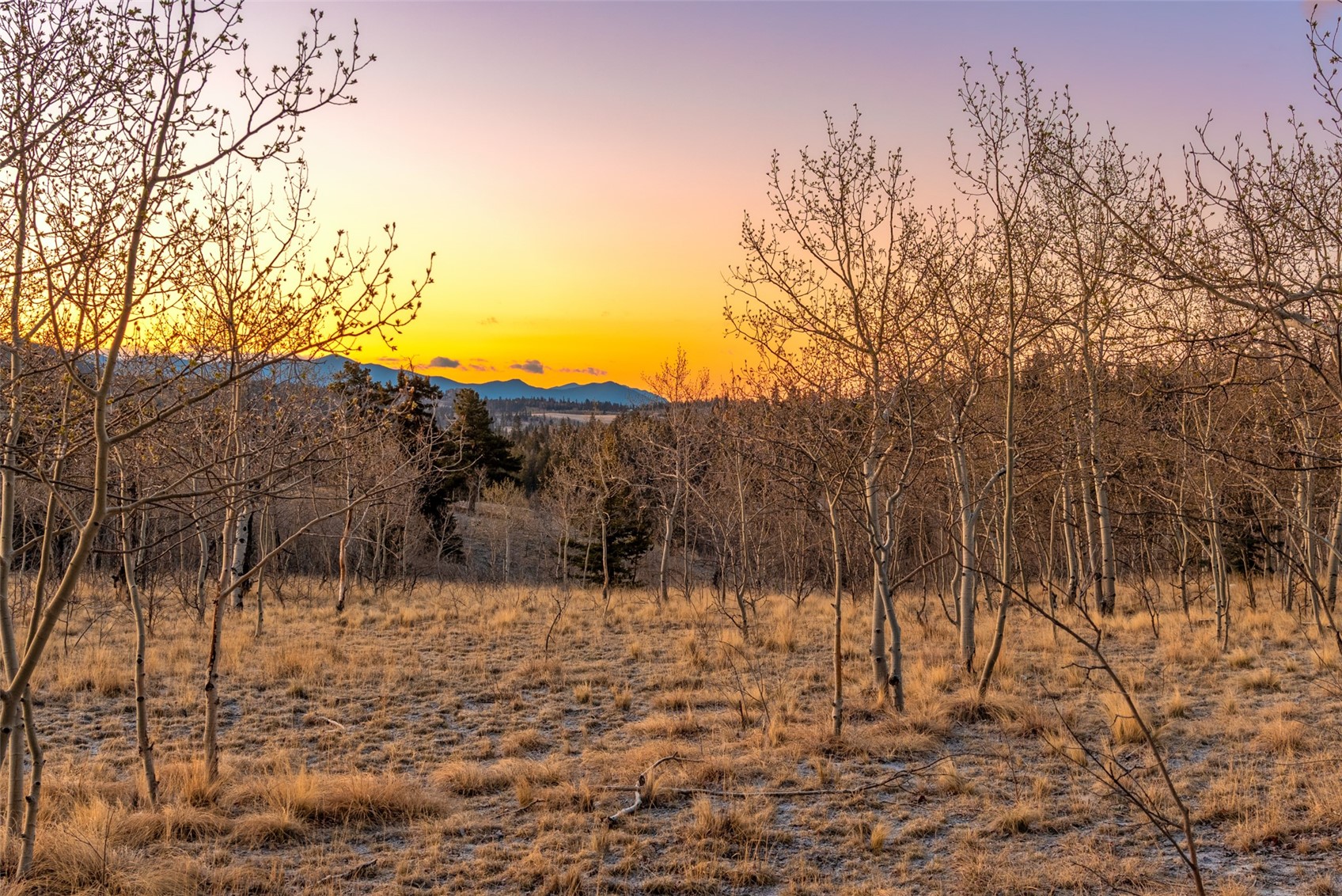 48 Teton Trail Property Photo 38