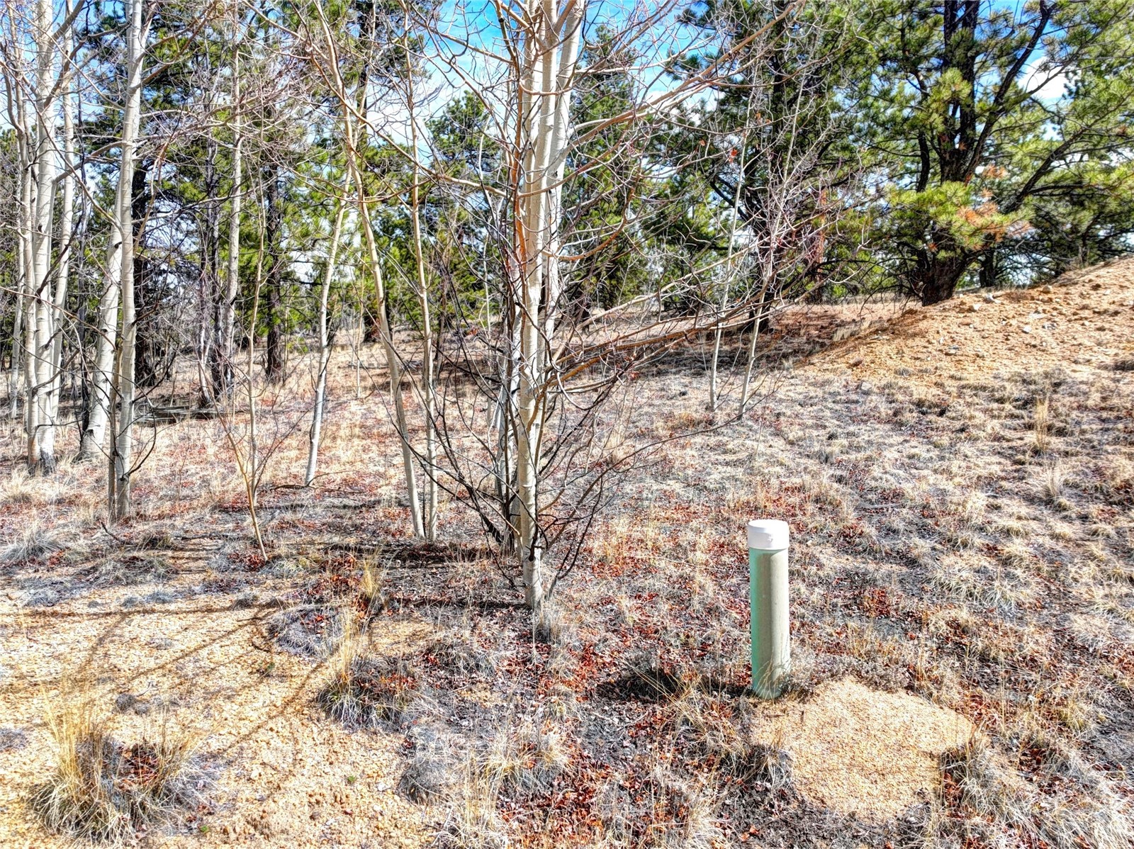 101 Patch Court Property Photo 3