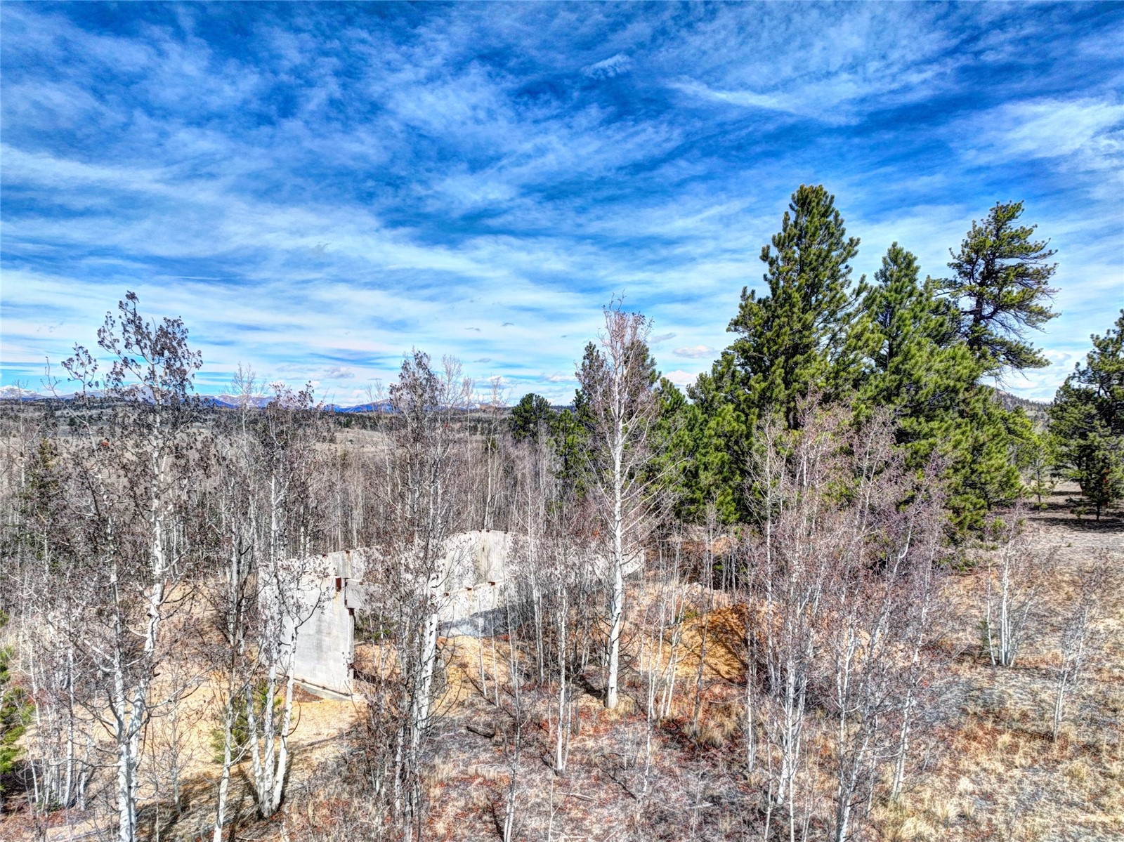 101 Patch Court Property Photo 10