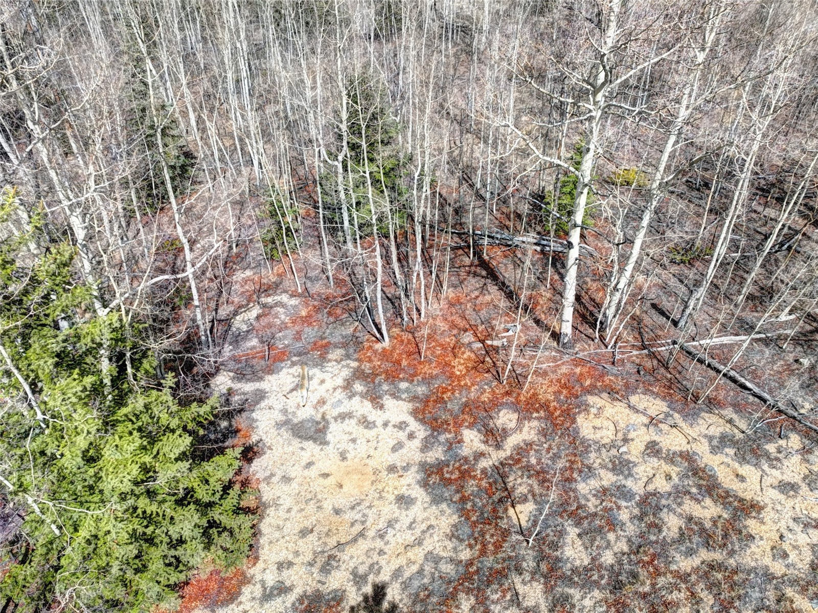 101 Patch Court Property Photo 17