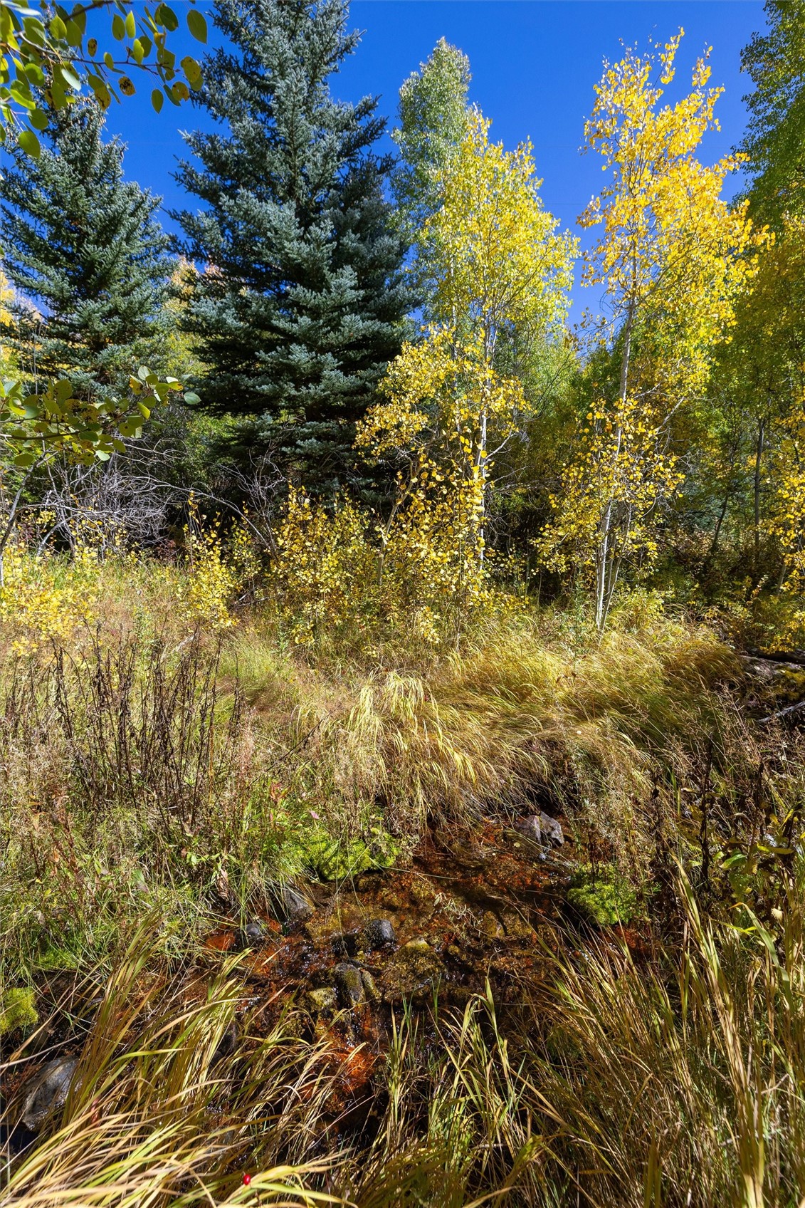 0 Tbd Frying Pan Road Property Photo 17