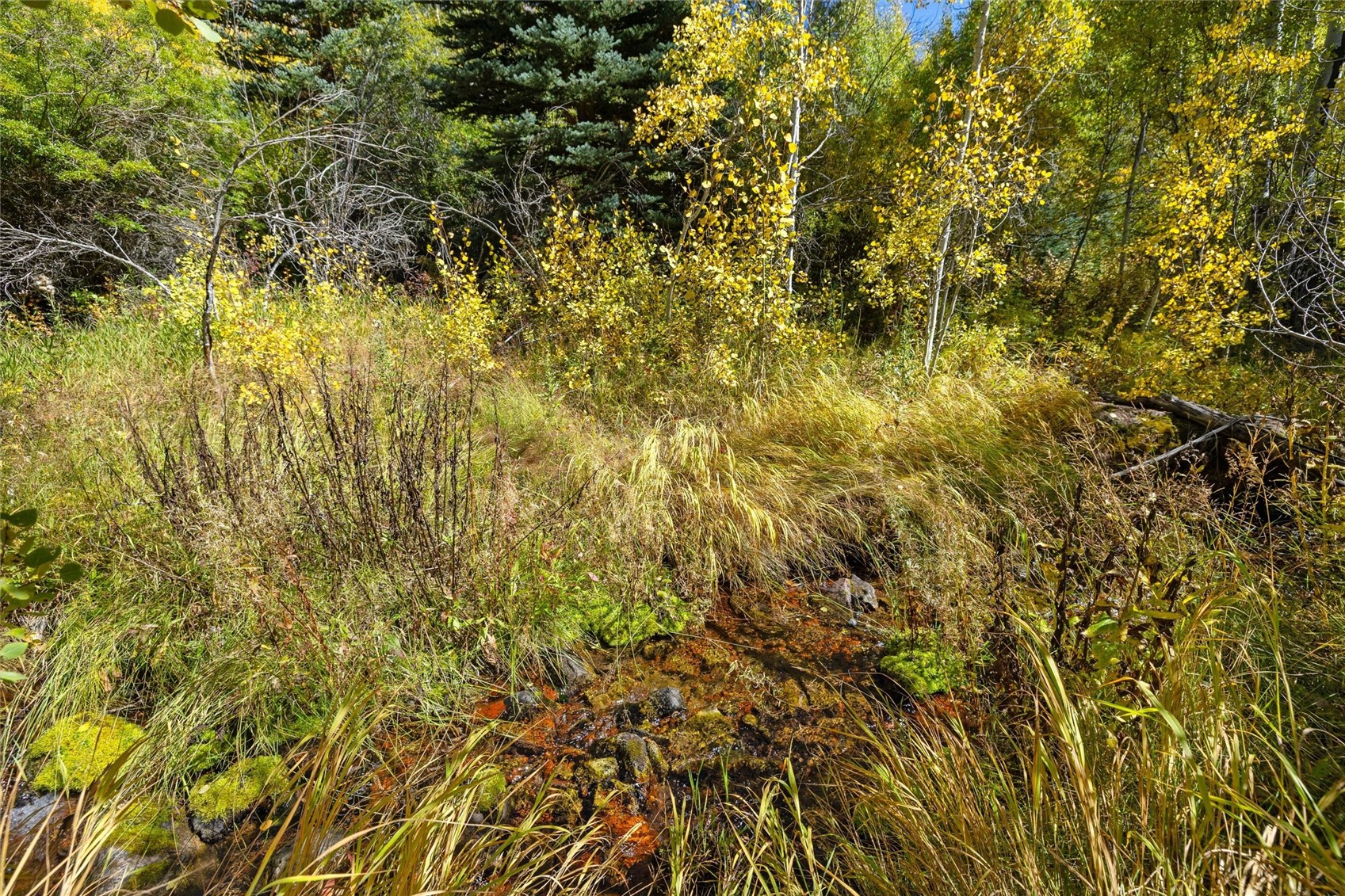 0 Tbd Frying Pan Road Property Photo 19