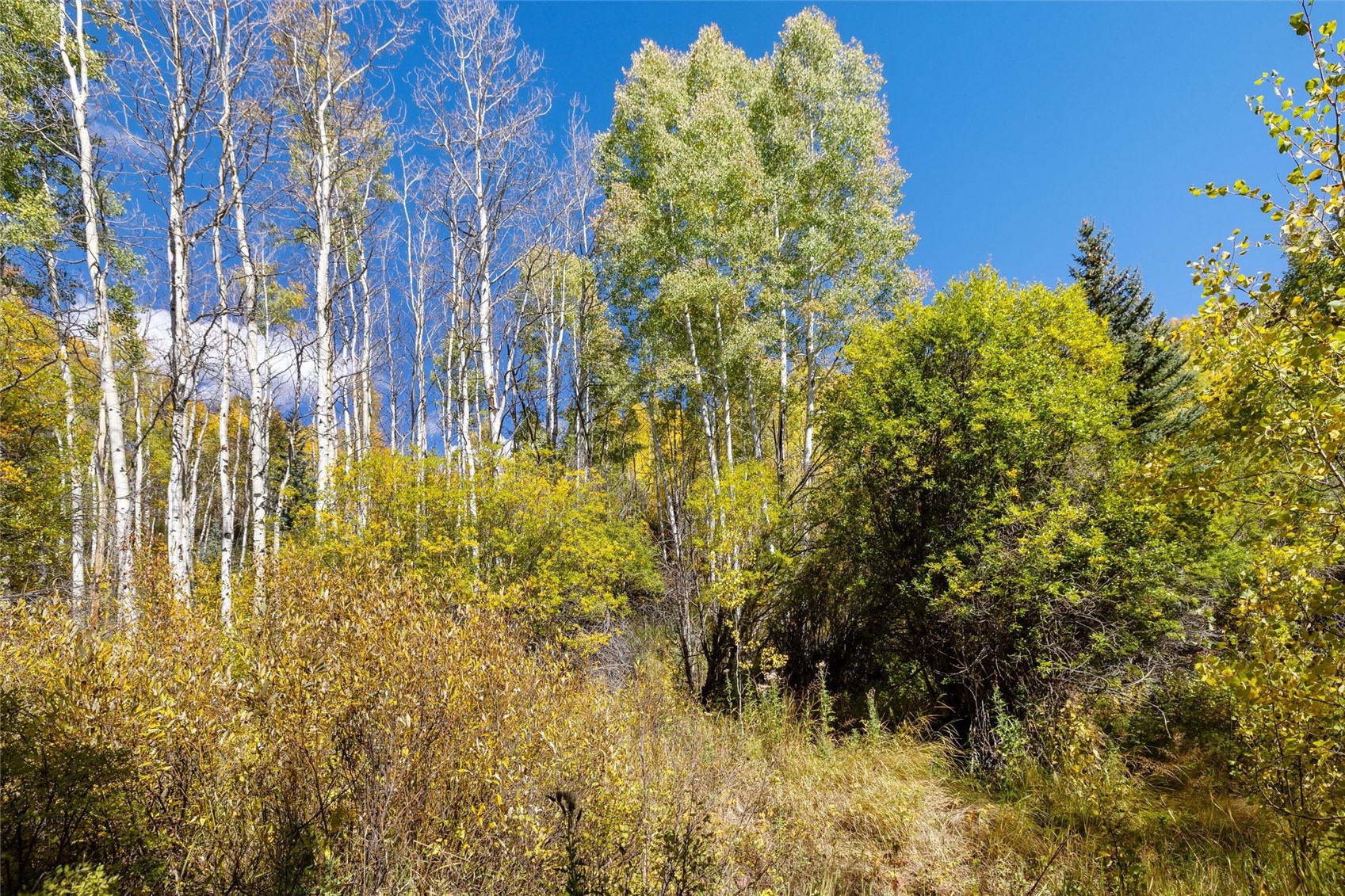 0 Tbd Frying Pan Road Property Photo 26