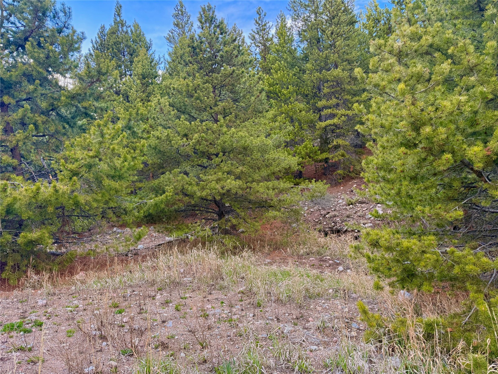 481 Giberson Road Property Photo 10