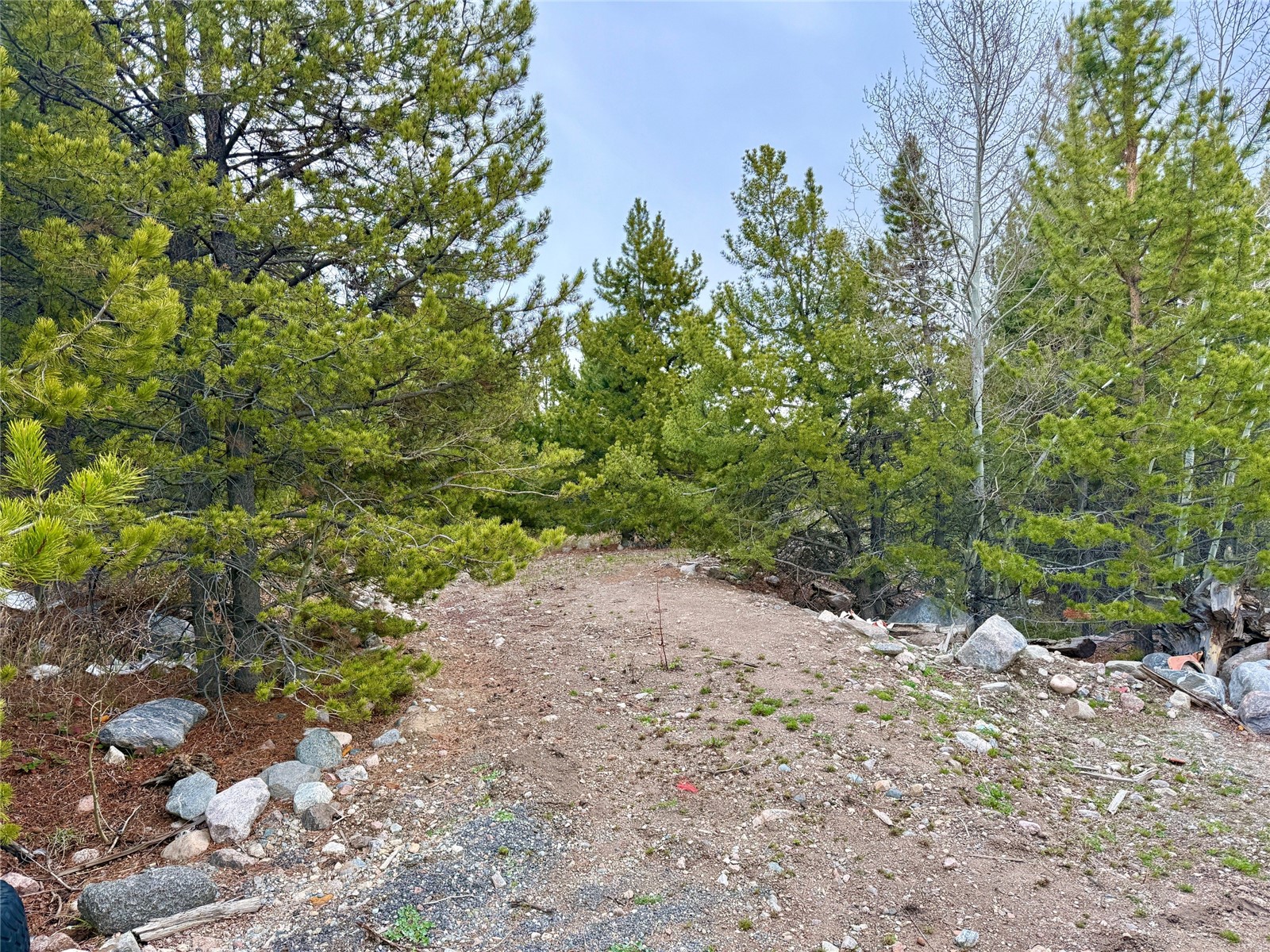 481 Giberson Road Property Photo 11