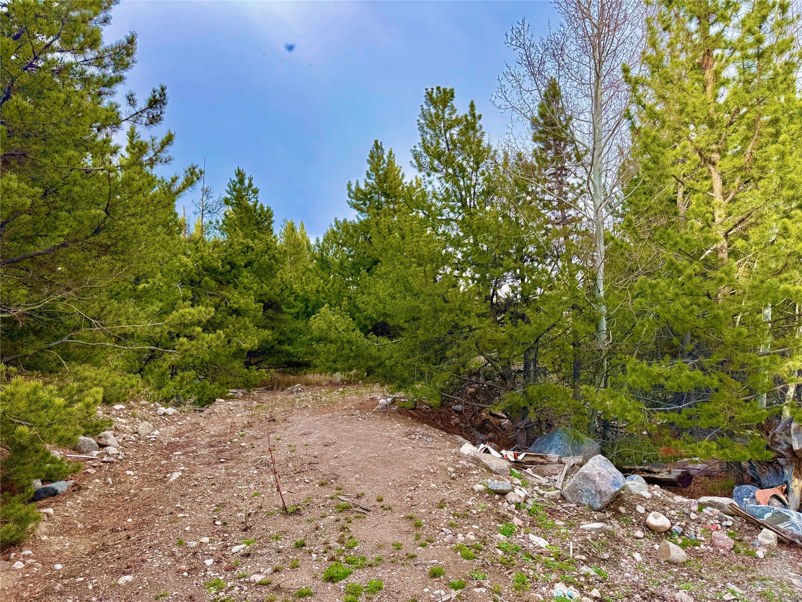 481 Giberson Road Property Photo 17
