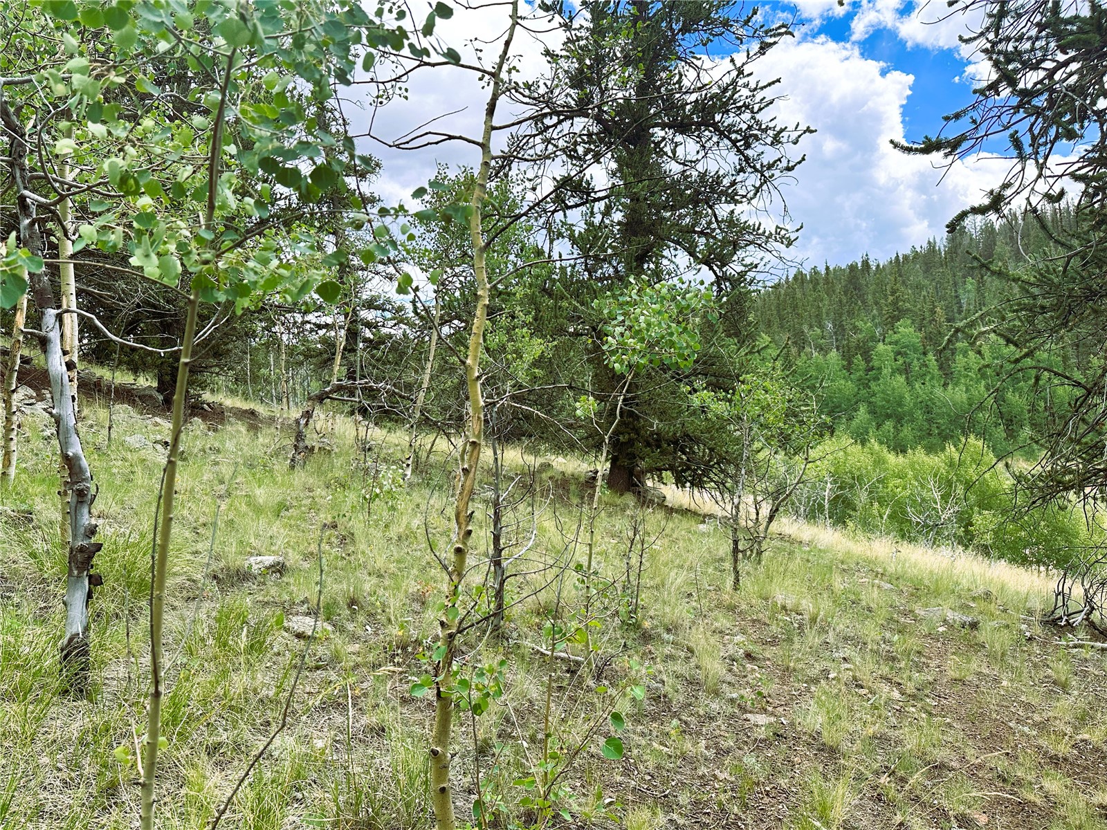 766 W Longbow Drive Property Photo 13