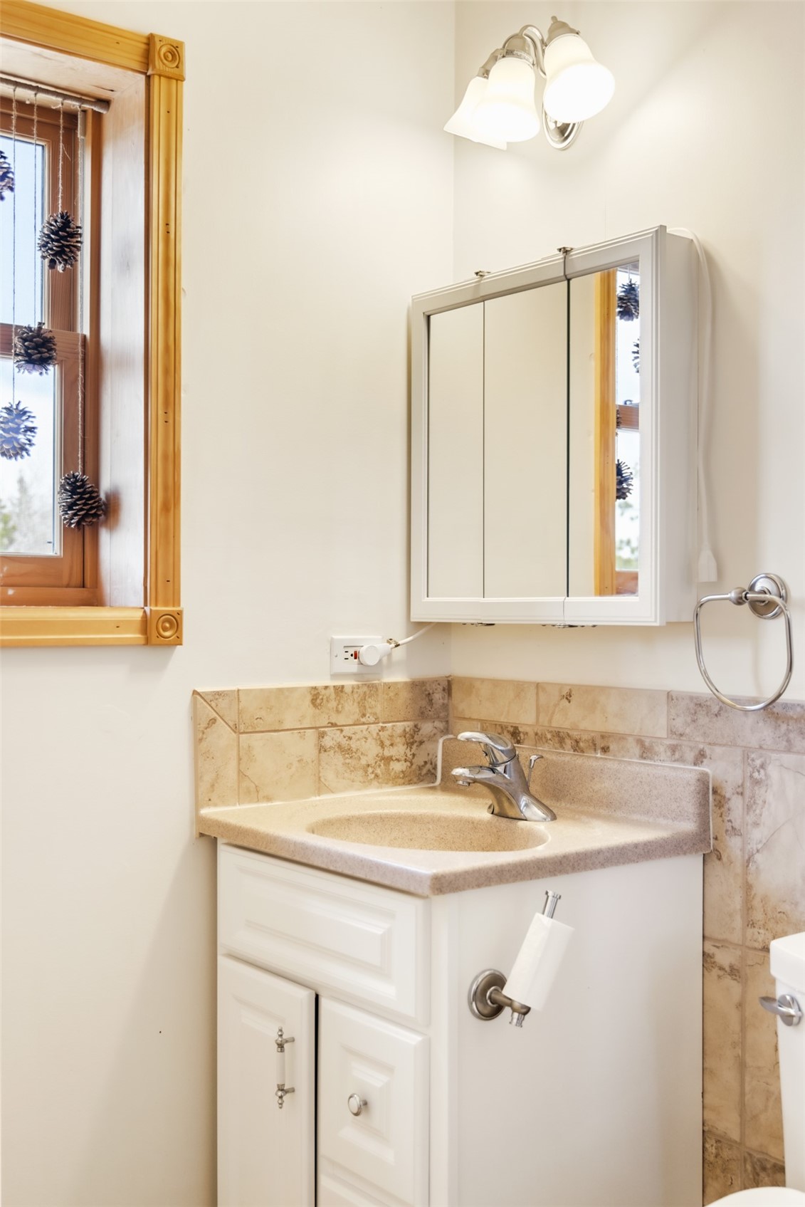 1540 Warrior Circle Property Photo 43