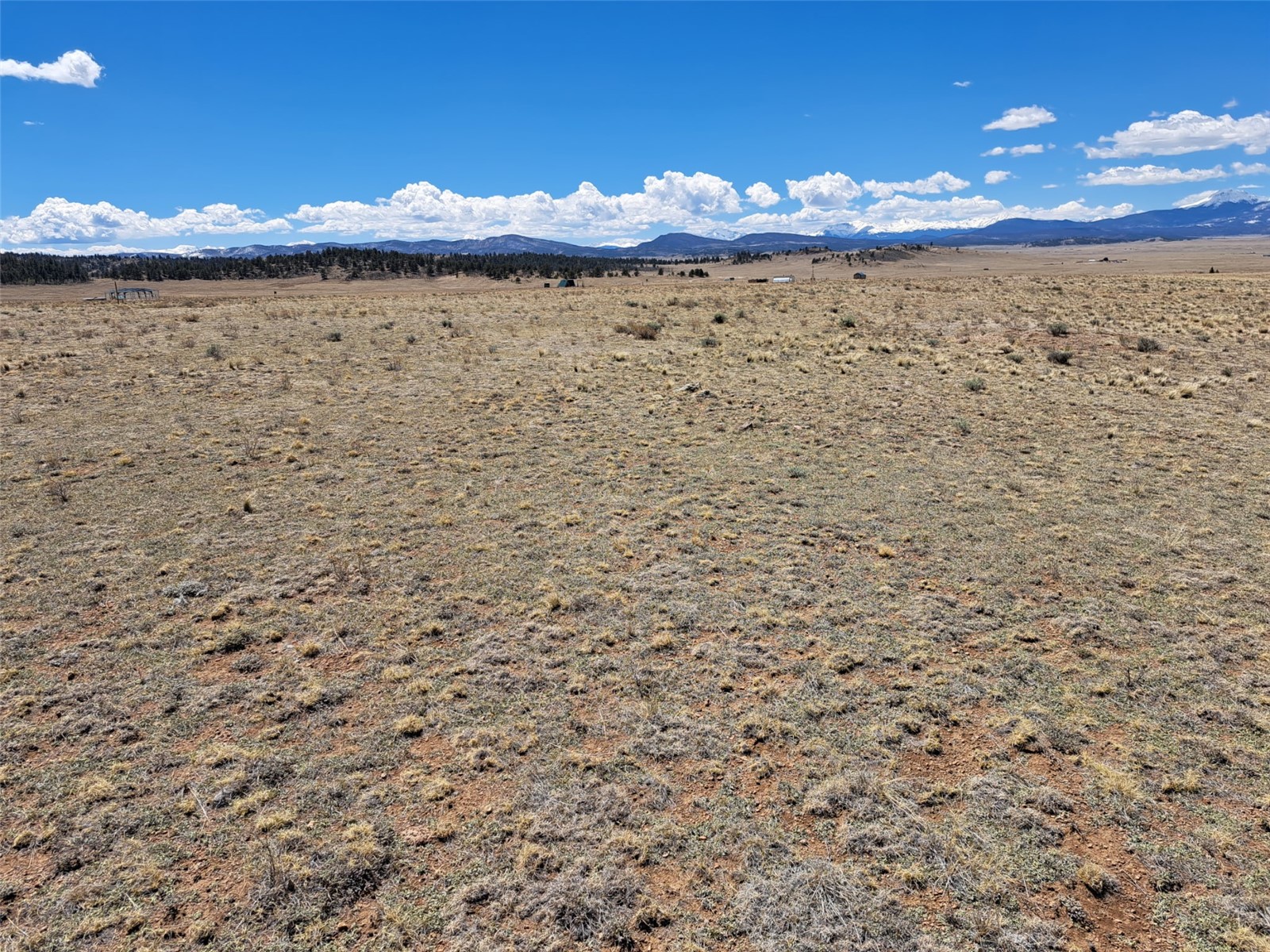 8313 Black Kettle Road Property Photo 1
