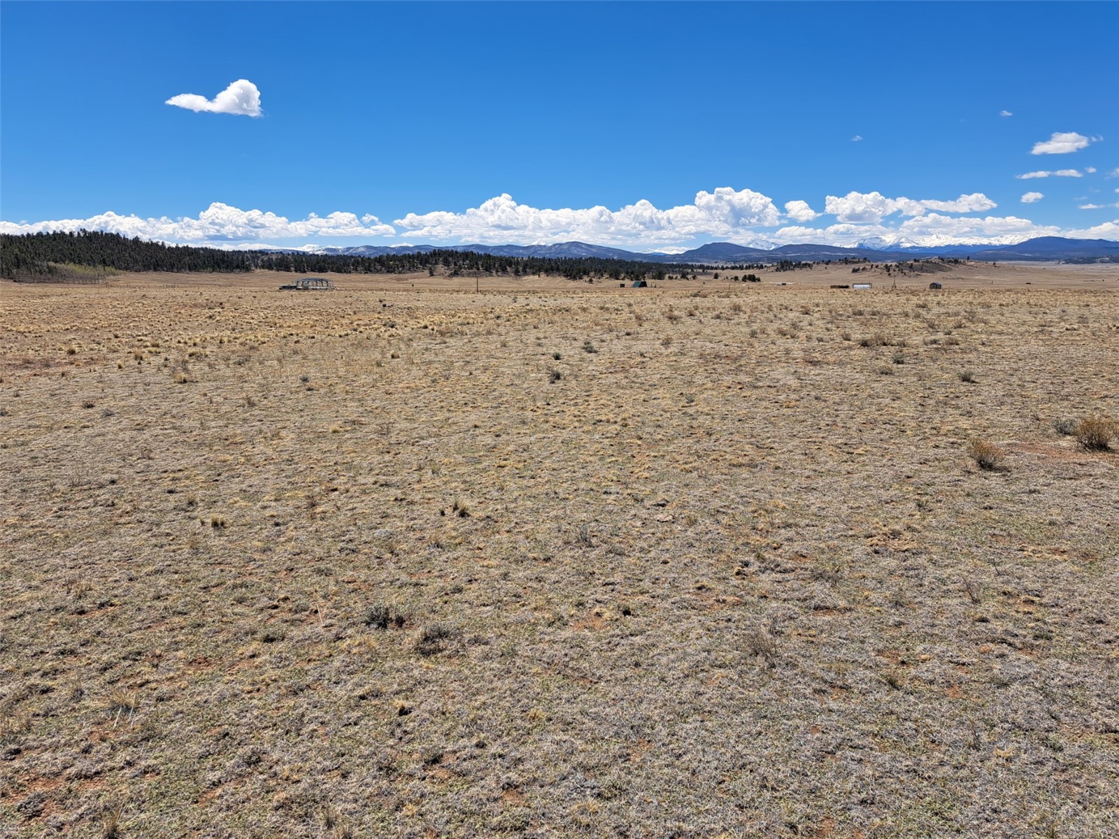 8313 Black Kettle Road Property Photo 2