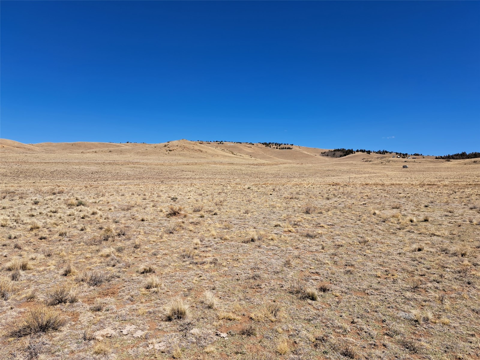 8313 Black Kettle Road Property Photo 3