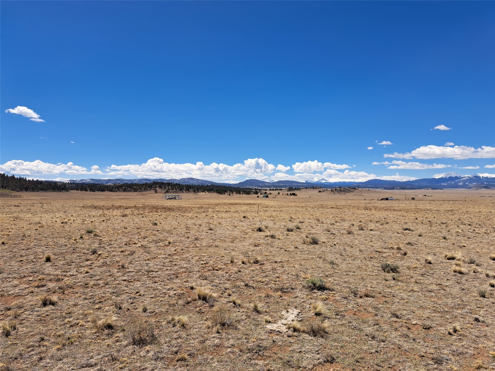 8313 Black Kettle Road Property Photo 6