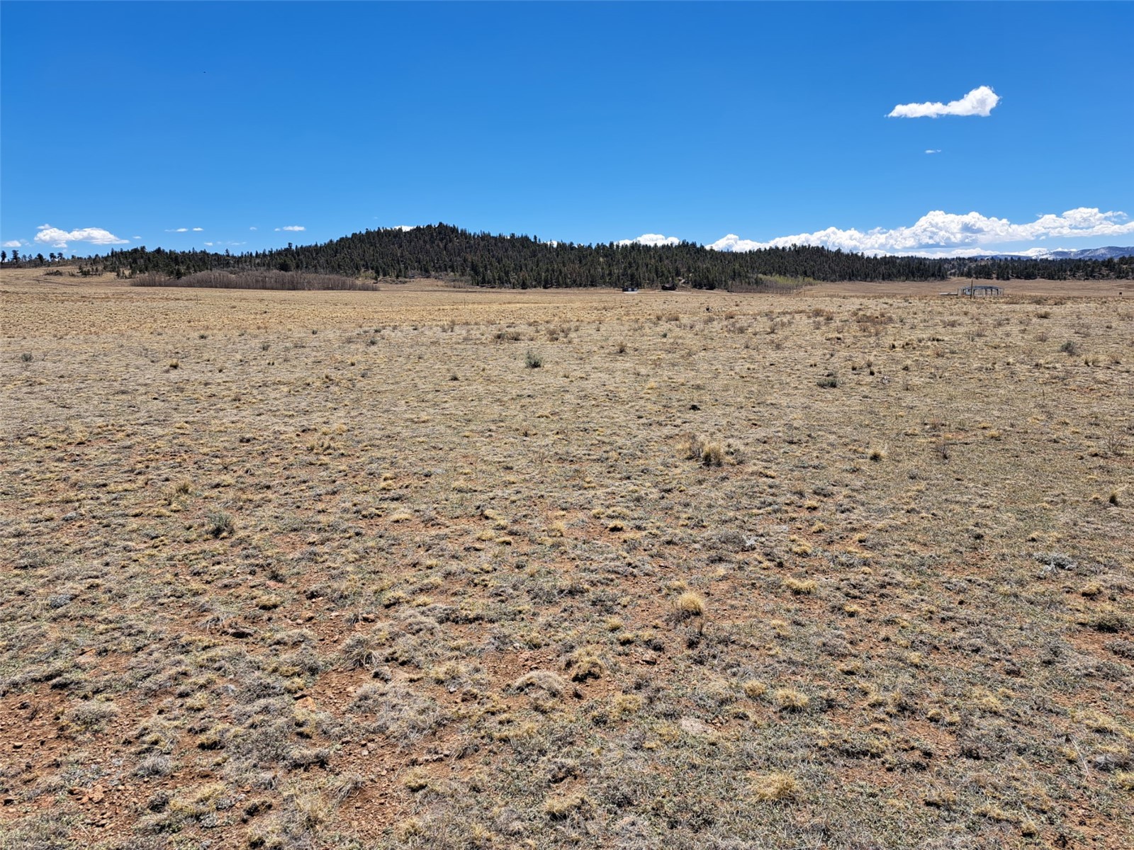 8313 Black Kettle Road Property Photo 9