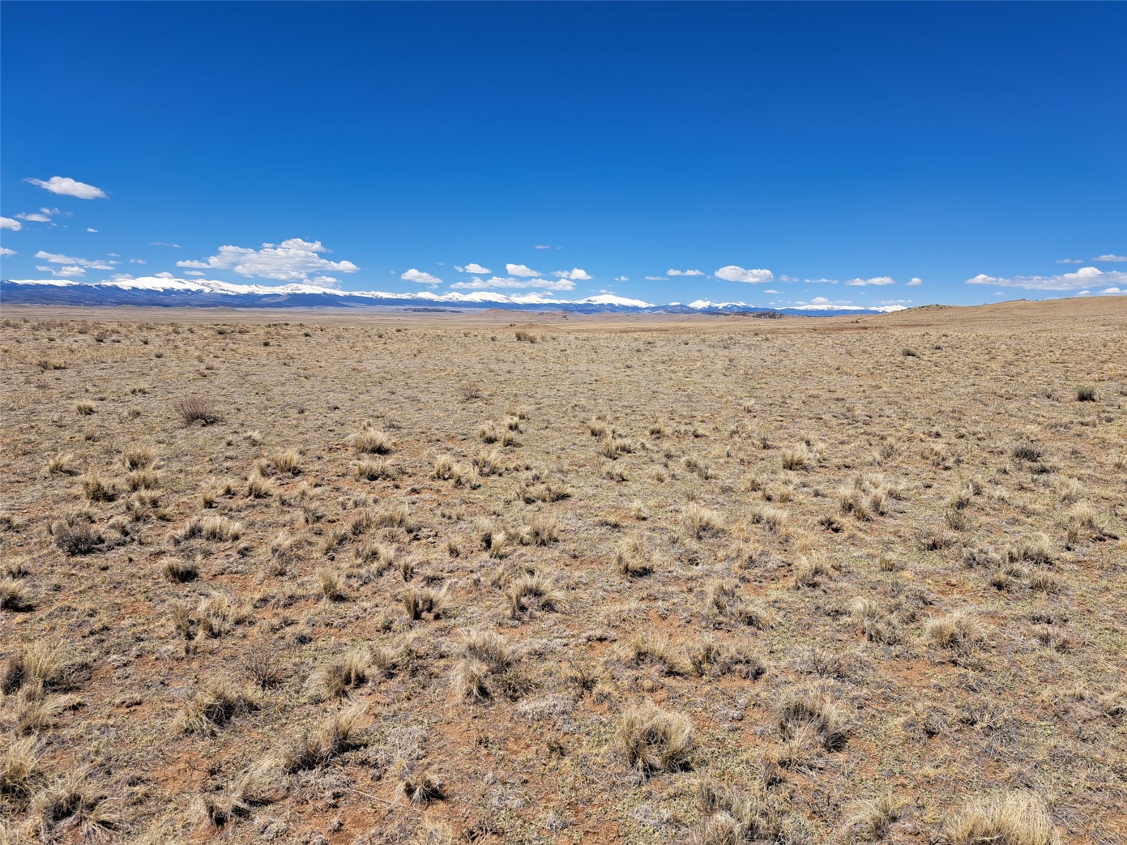 8313 Black Kettle Road Property Photo 15