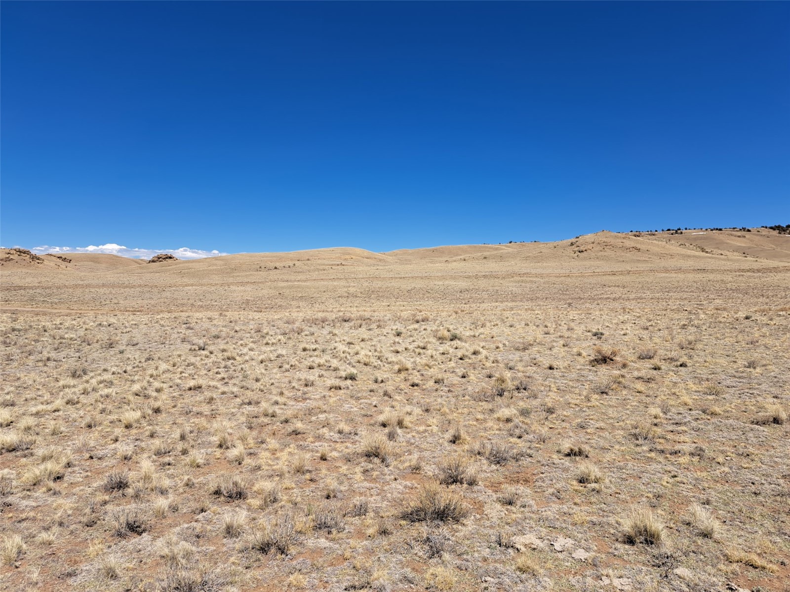 8313 Black Kettle Road Property Photo 19