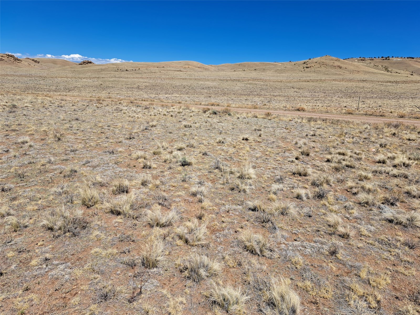 8313 Black Kettle Road Property Photo 20