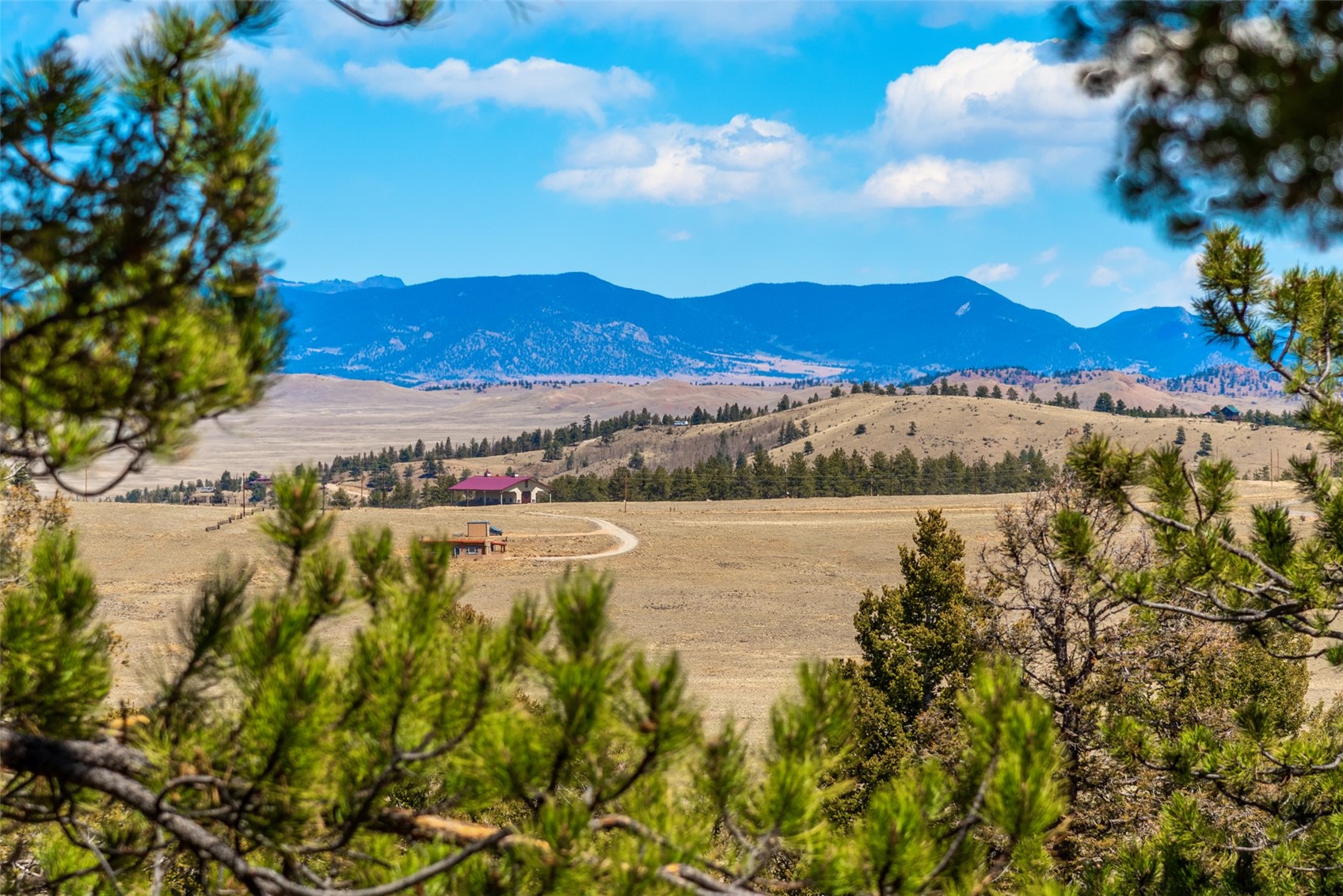 4091 Singletree Road Property Photo 7