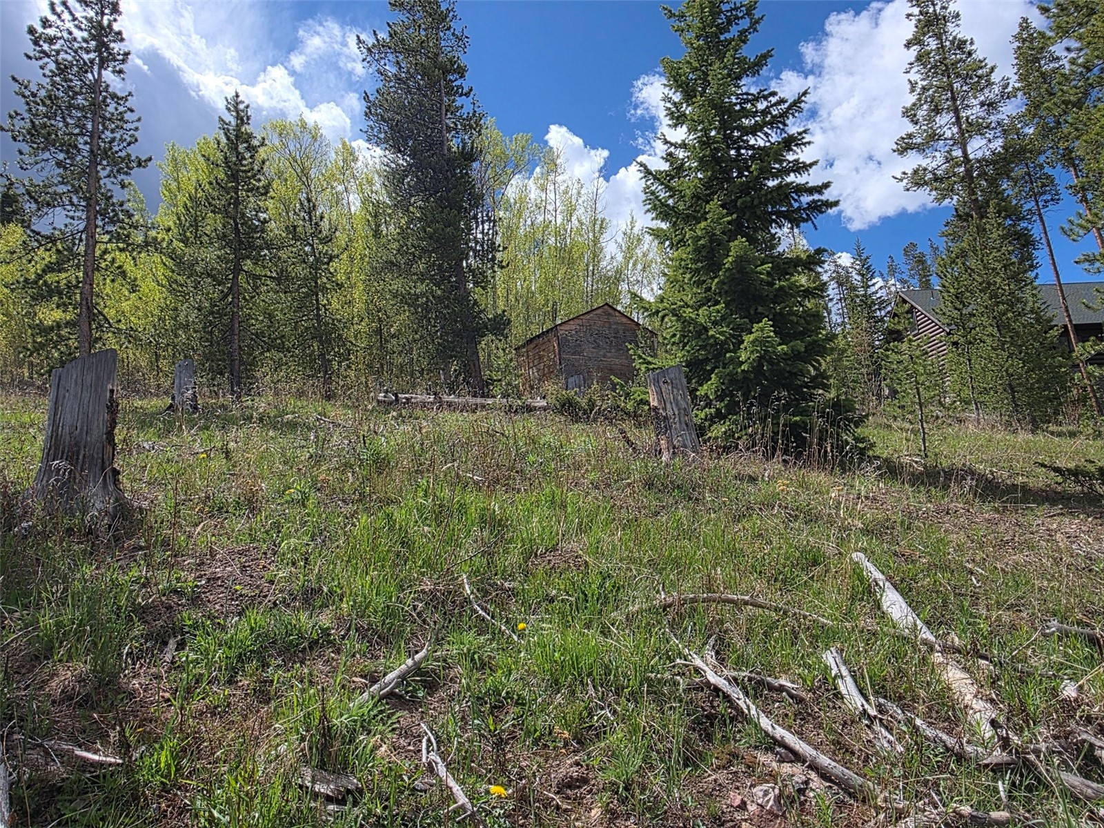 90 Shadows Drive Property Photo 16