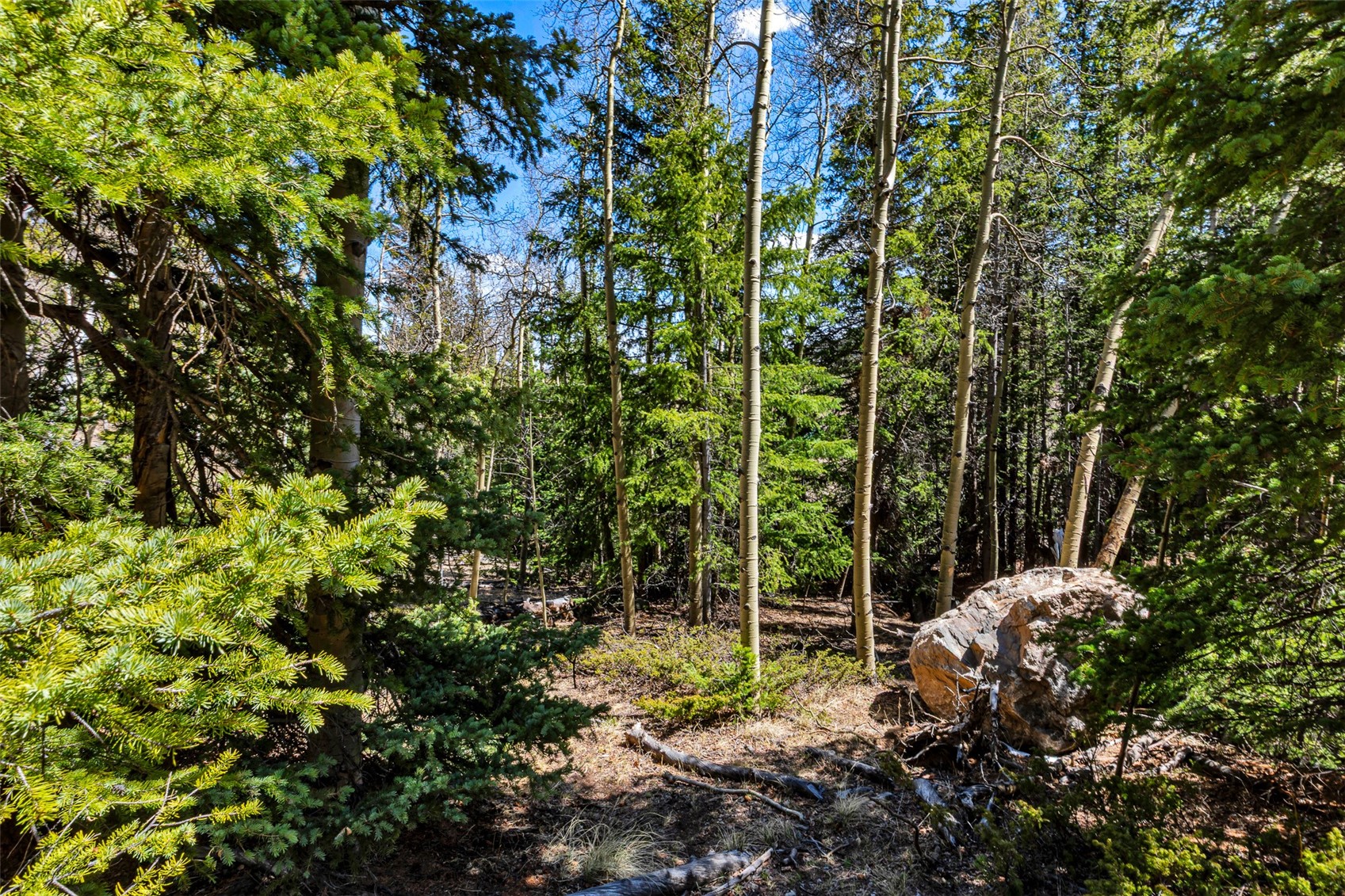 270 Co Rd 667 Property Photo 24