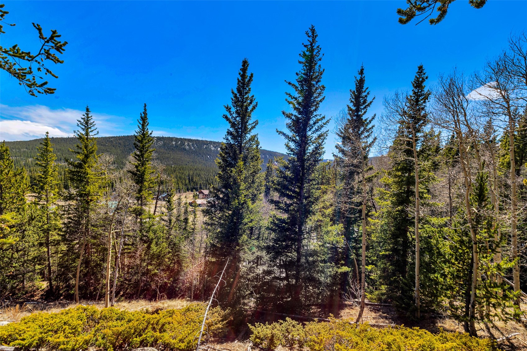 270 Co Rd 667 Property Photo 28