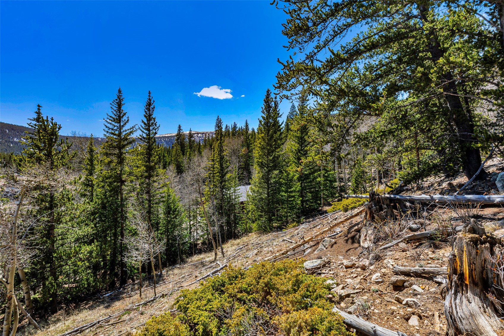 270 Co Rd 667 Property Photo 30