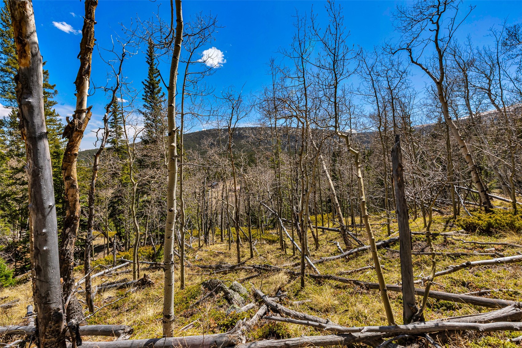 270 Co Rd 667 Property Photo 31