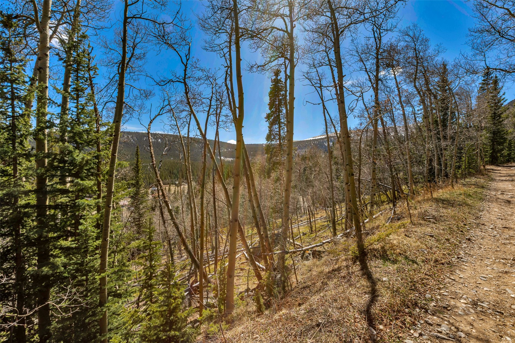 270 Co Rd 667 Property Photo 32