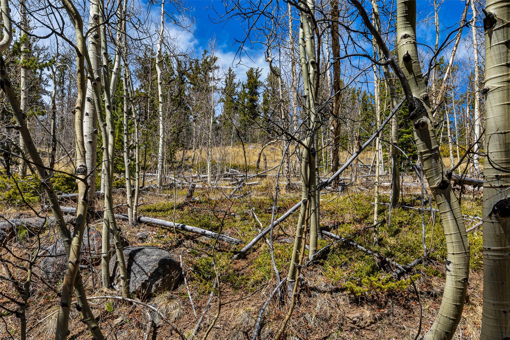 270 Co Rd 667 Property Photo 34