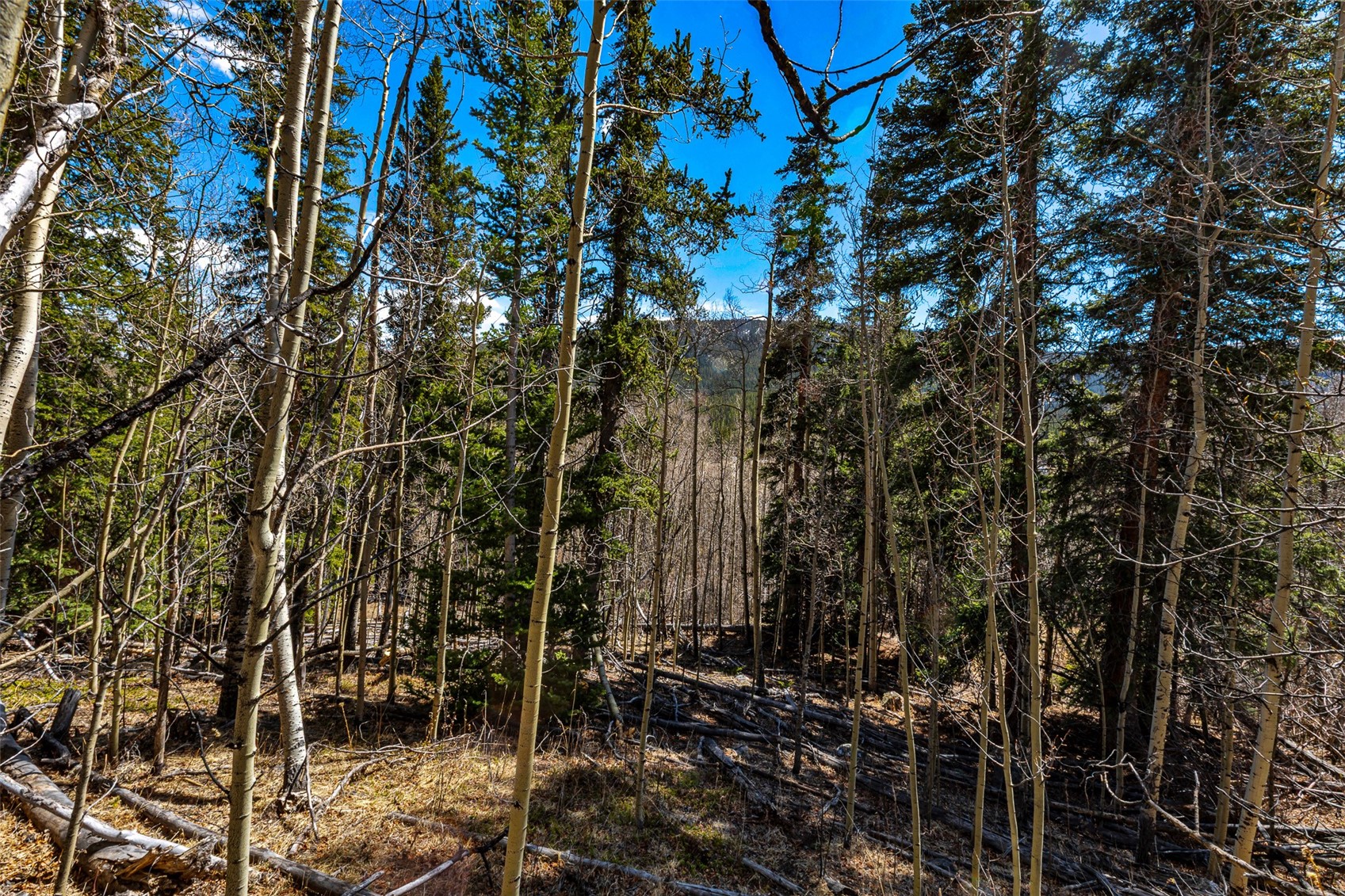 270 Co Rd 667 Property Photo 35