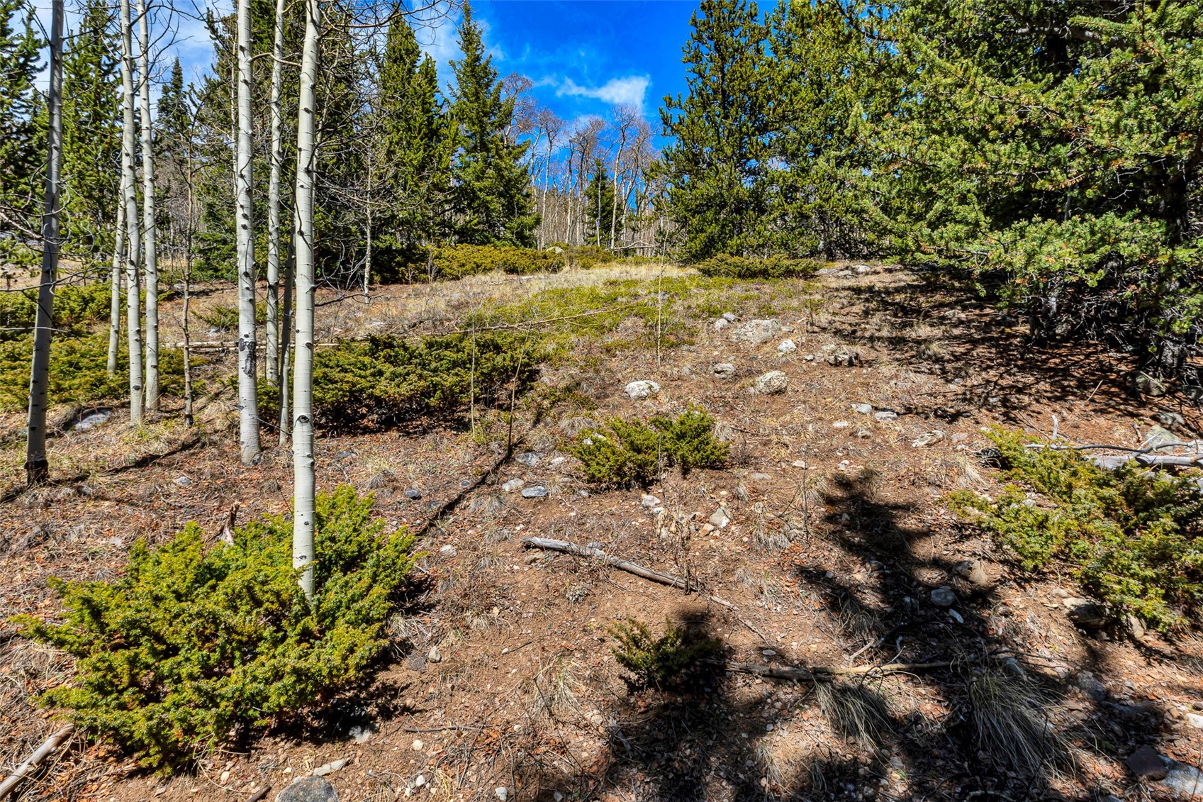 270 Co Rd 667 Property Photo 36