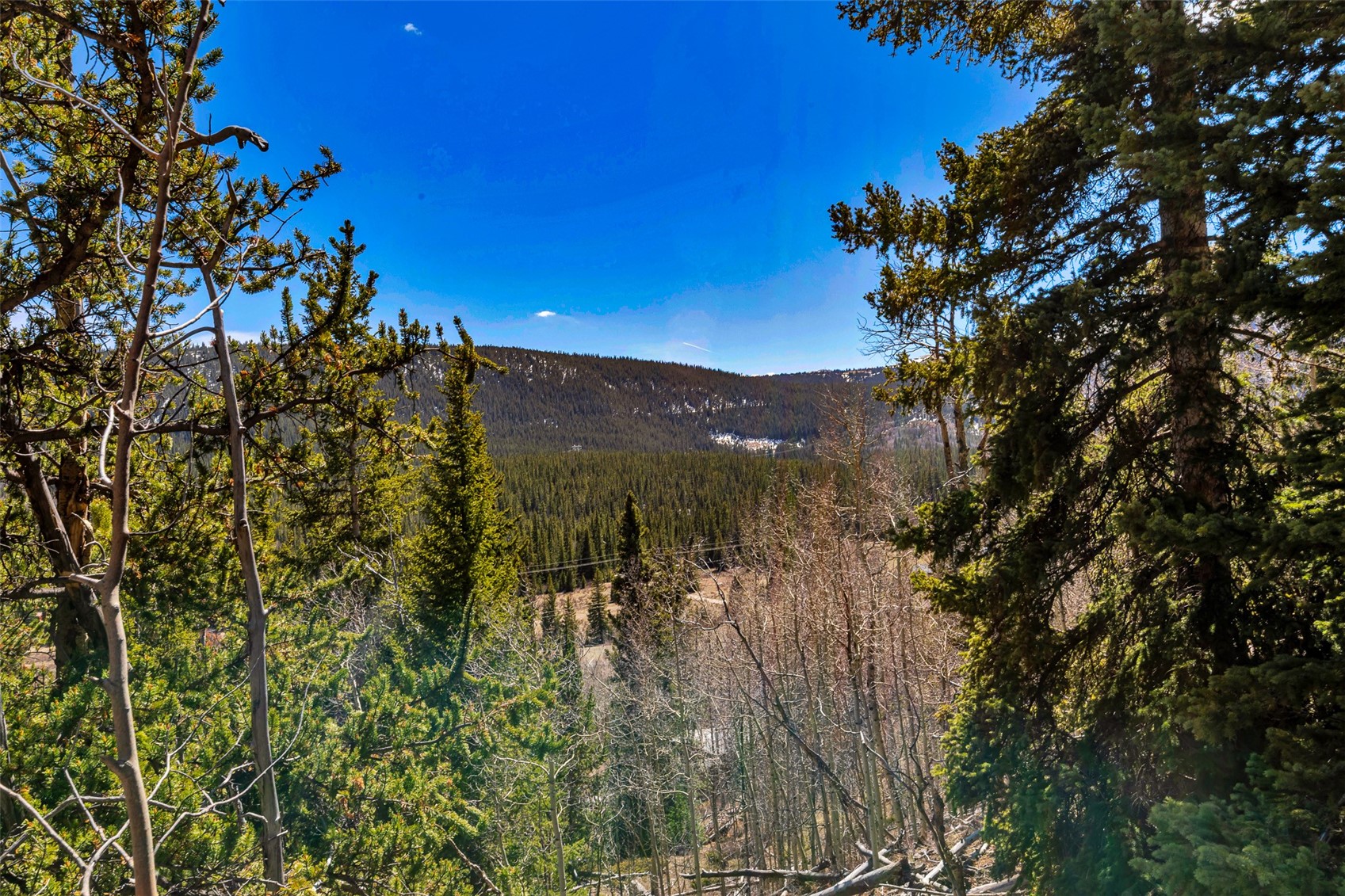 270 Co Rd 667 Property Photo 39