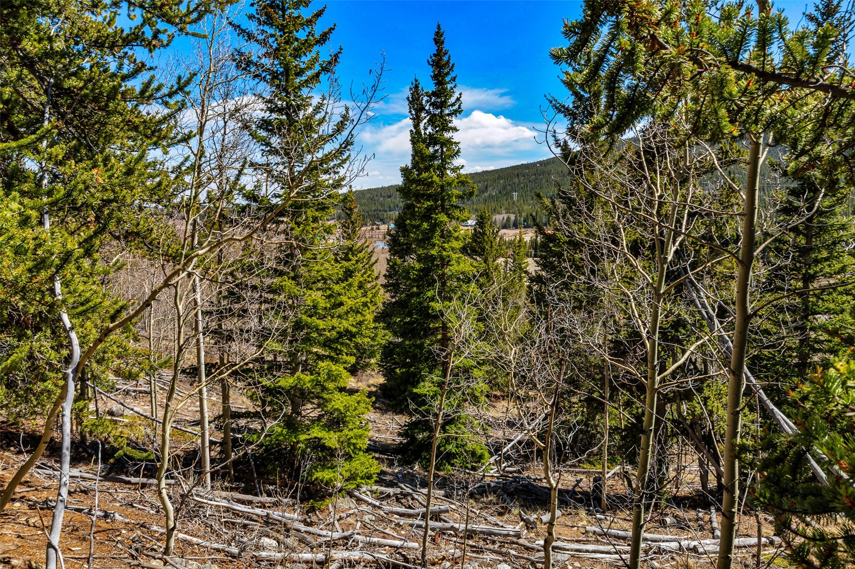 270 Co Rd 667 Property Photo 40