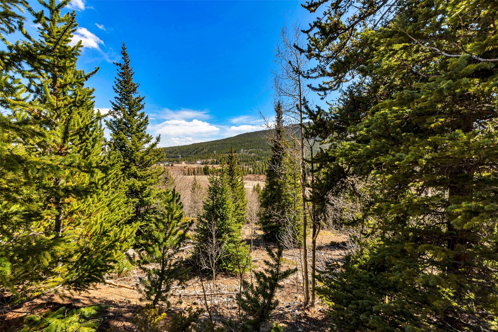 270 Co Rd 667 Property Photo 41