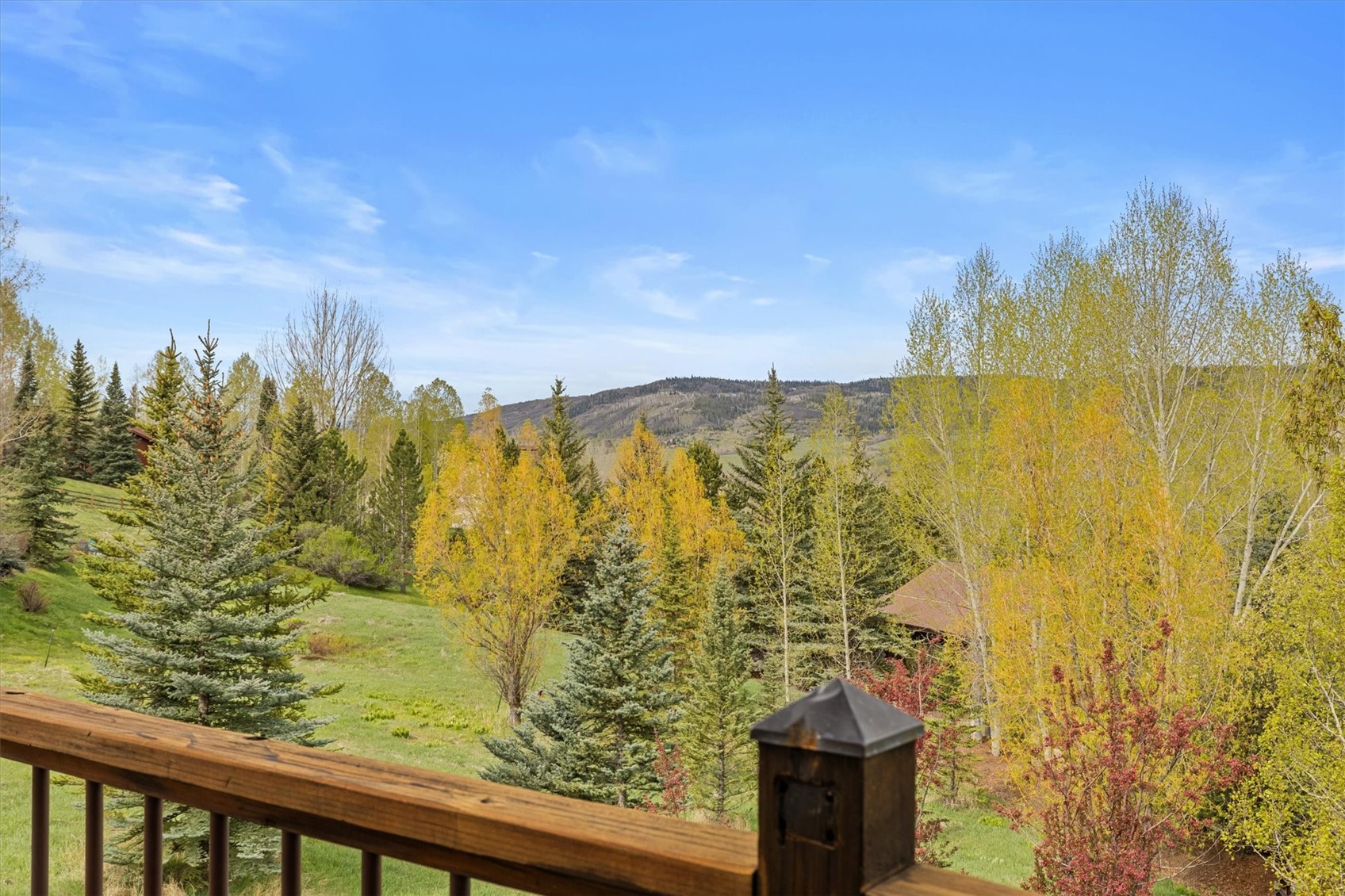 1848 Hunters Court Property Photo 9