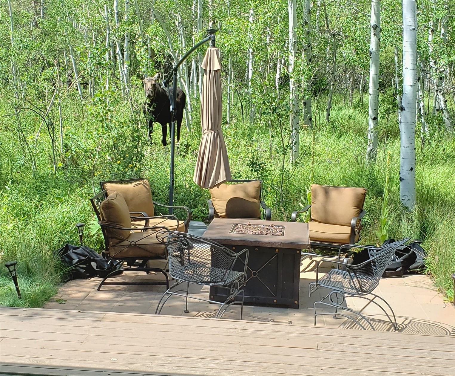 56 Aspen Lane Property Photo 7