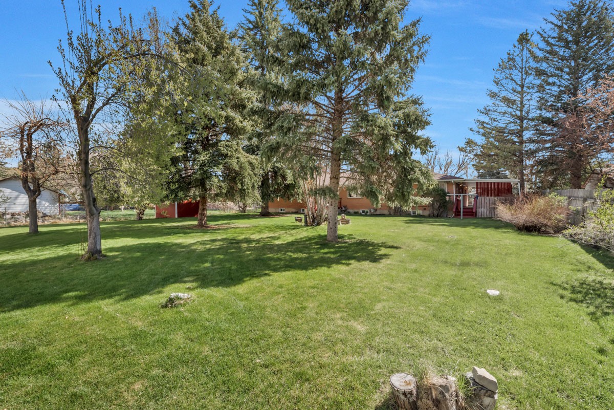 590 Steele Street Property Photo 44