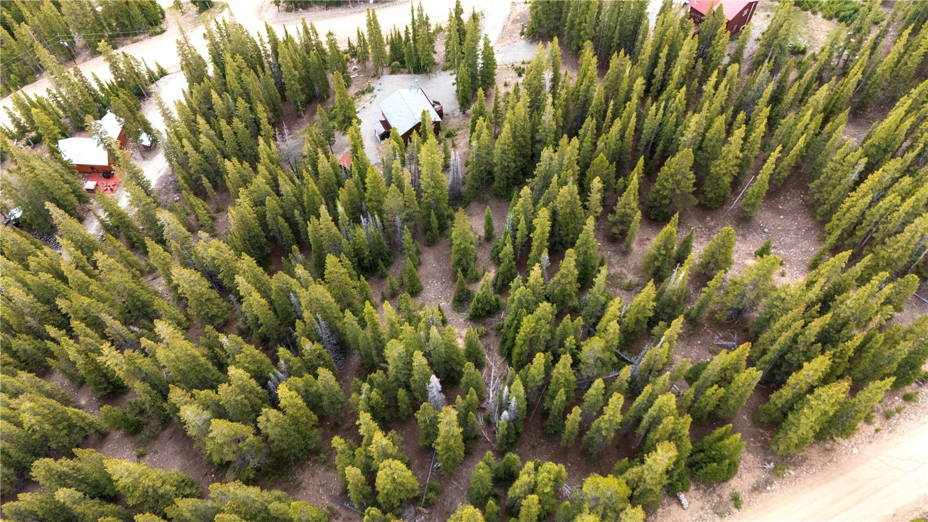 210 Silverheels Place Property Photo 2