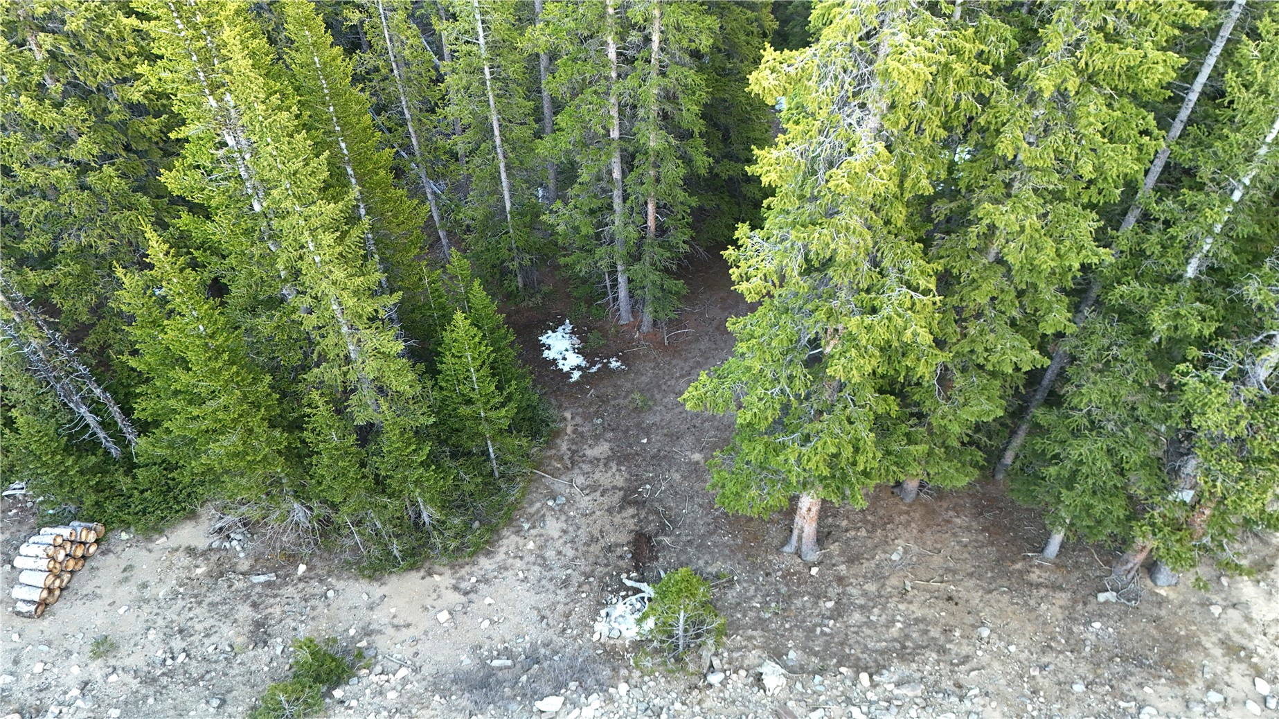 210 Silverheels Place Property Photo 3