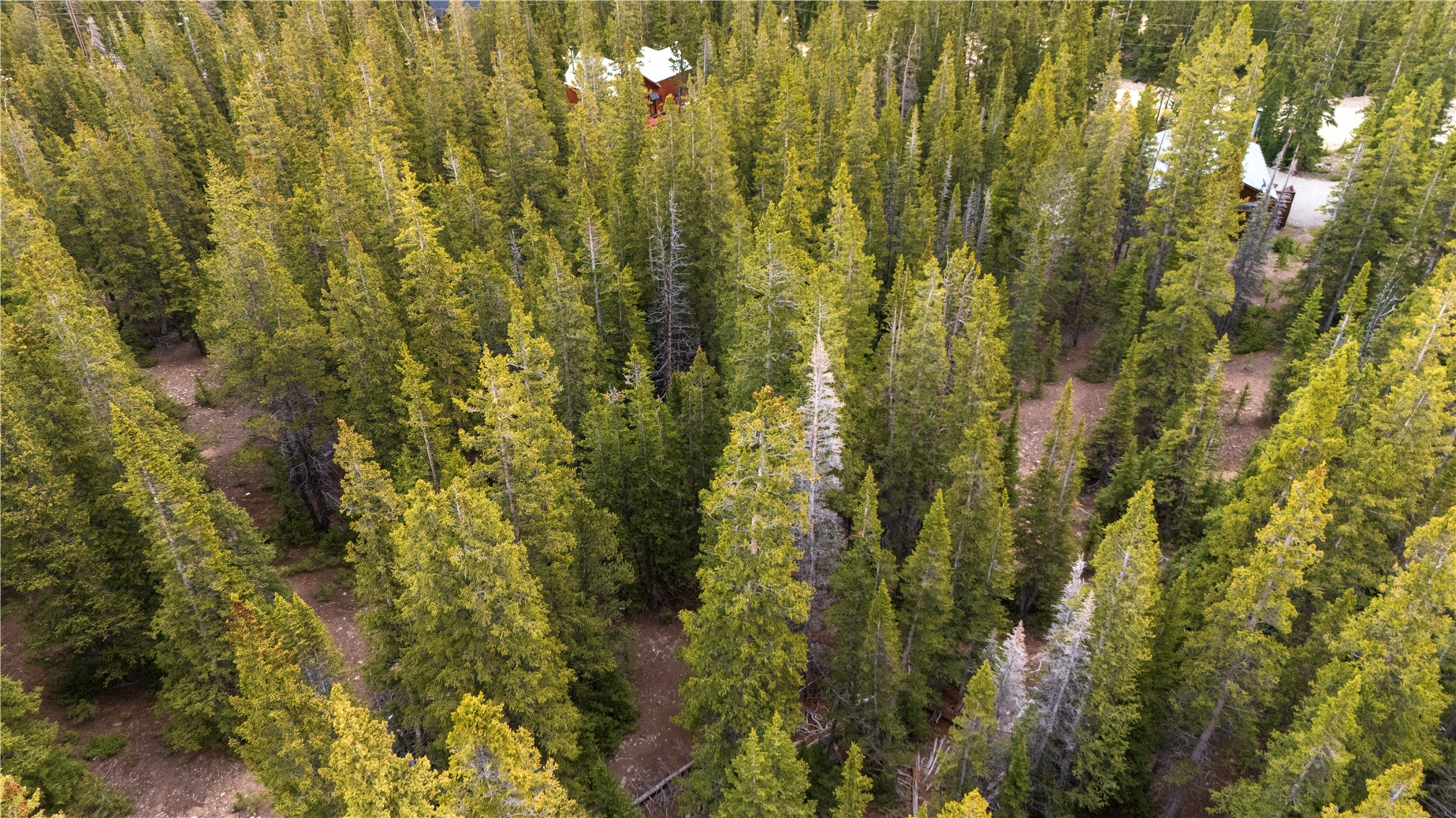 210 Silverheels Place Property Photo 5