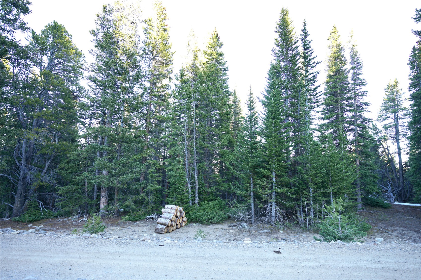 210 Silverheels Place Property Photo 9