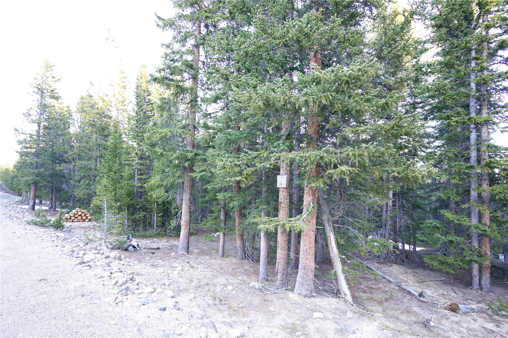 210 Silverheels Place Property Photo 10
