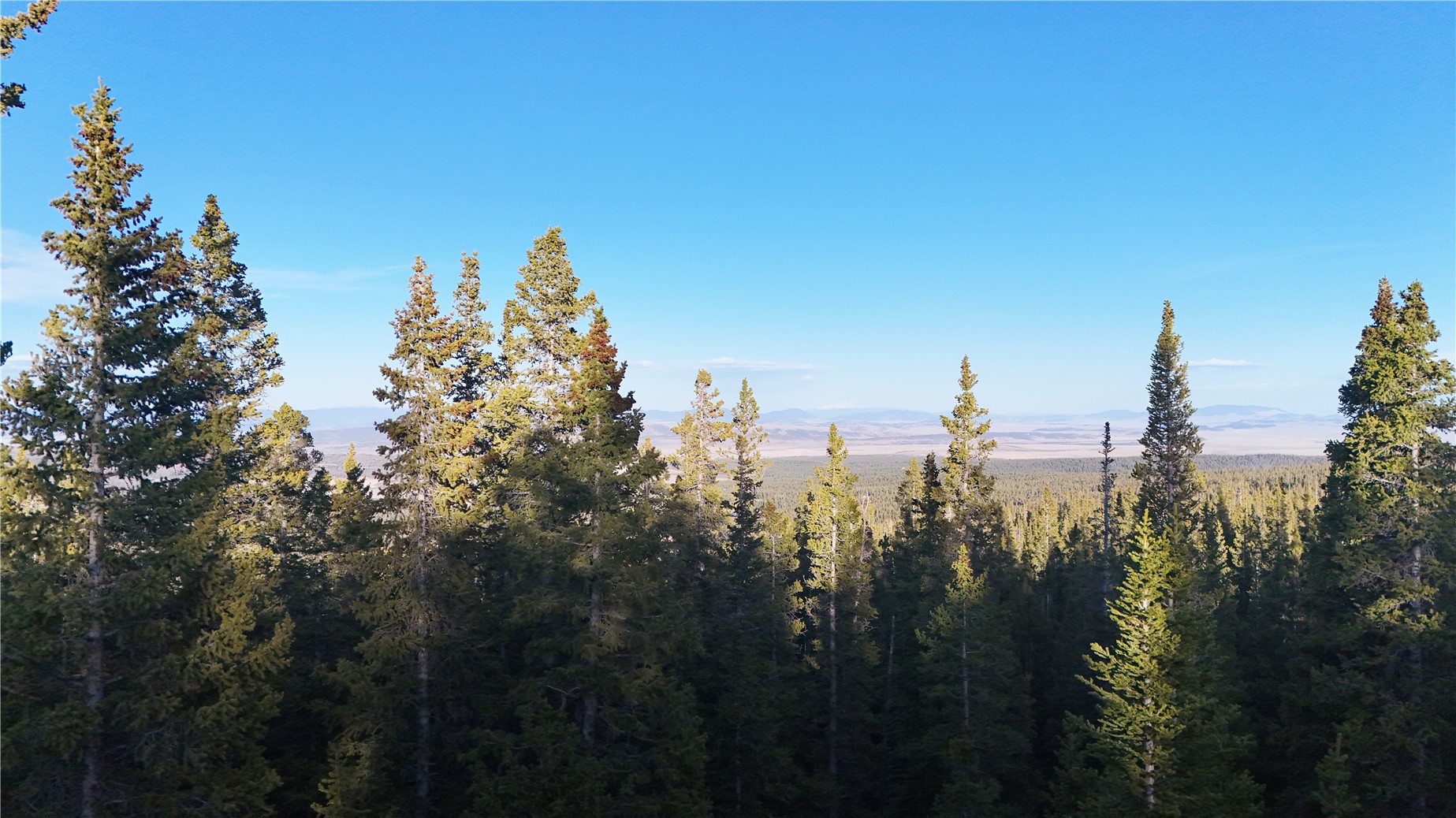 210 Silverheels Place Property Photo 12
