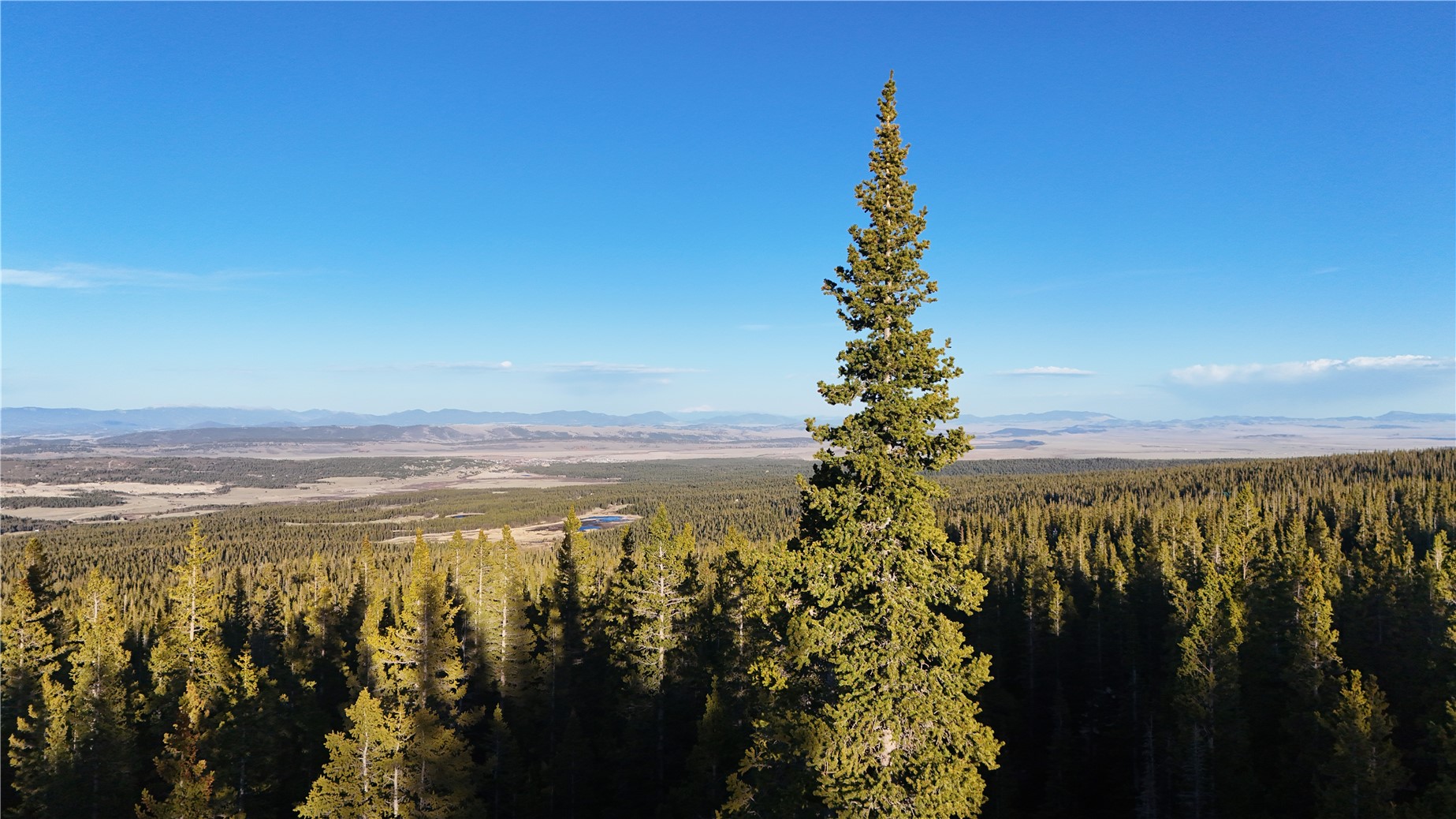 210 Silverheels Place Property Photo 13