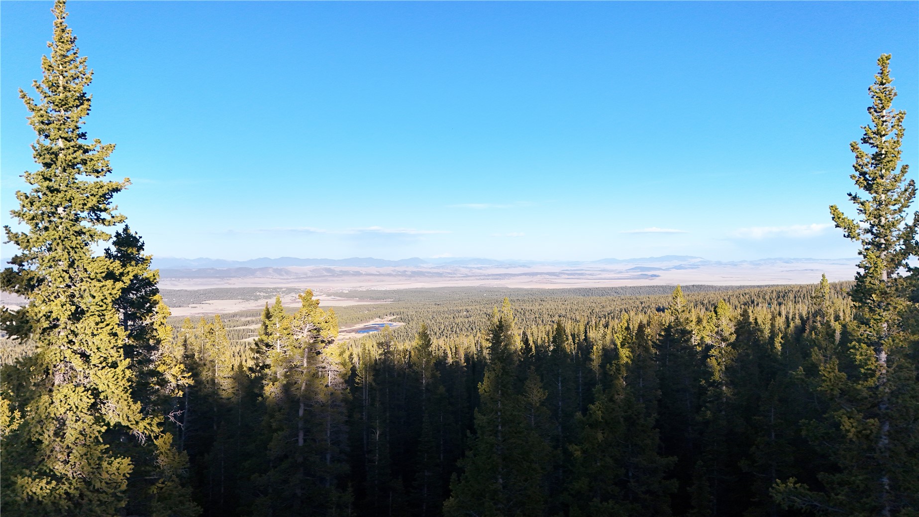 210 Silverheels Place Property Photo 14