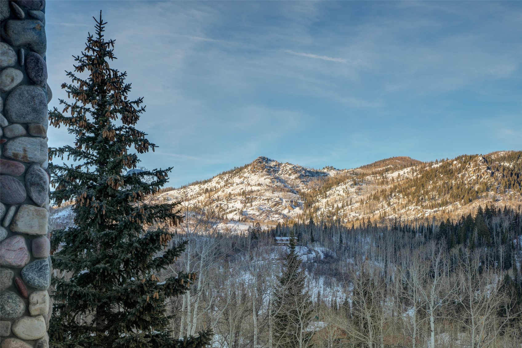 31775 Bradley Ranch Property Photo 12